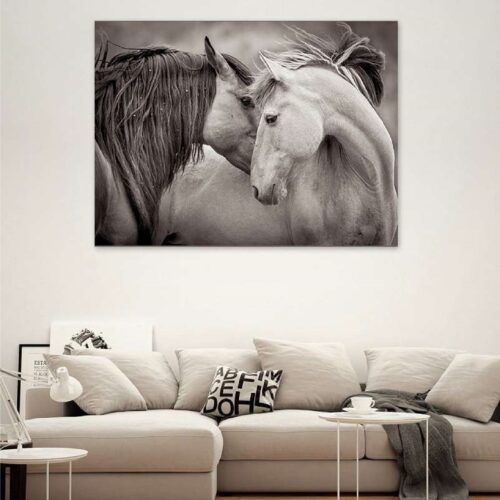 تابلوه قماش تصميم 501  حيوانات
