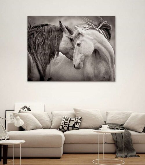 50300110100501 MDF canvas tableau with 501 animals design