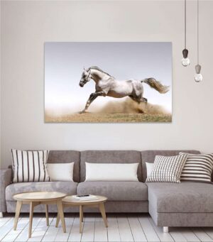 Canvas Painting Design 531 Animals